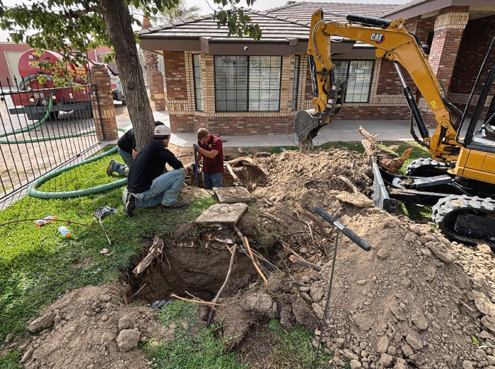 Heavy machinery excavating a failed septic tank caused by tree root intrusion in a residential front yard.