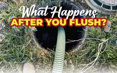 How Does a Septic Tank Work?
